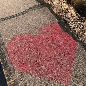 Team Page: We Love Marian House!